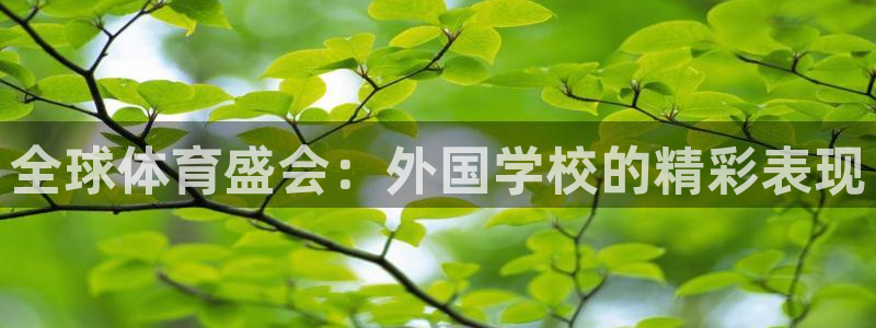 中欧体育官网：全球体育盛会：外国学校的精彩表现
