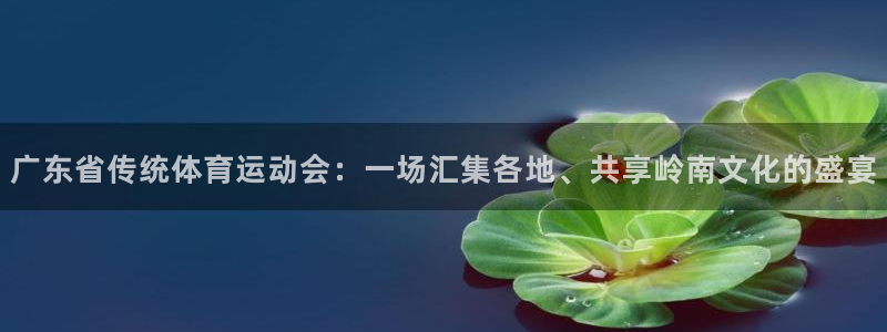 zoty中欧体育平台：广东省传统体育运动会：一场汇集各地、共享岭南文化的盛宴