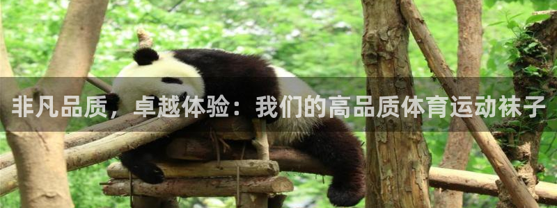 中欧体育最新地址：非凡品质，卓越体验：我们的高品质体育运动袜子