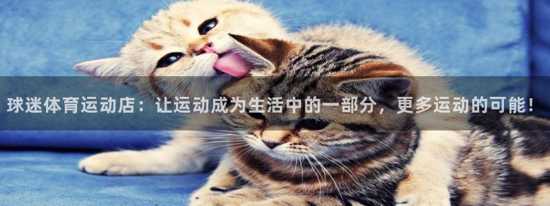 zyty中欧体育平台：球迷体育运动店：让运动成为生活中的一部分，更多运动的可能！
